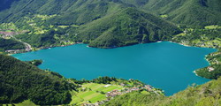 Ledrosee